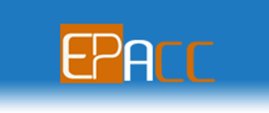 Back Office Executive